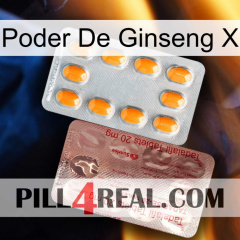 Ginseng Power X new13